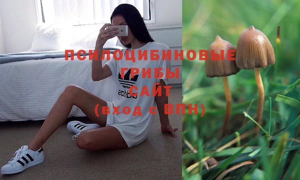 кокаин Алексин
