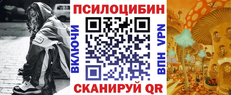 купить наркоту  Котельники  МЕГА ONION  Галлюциногенные грибы Psilocybe 