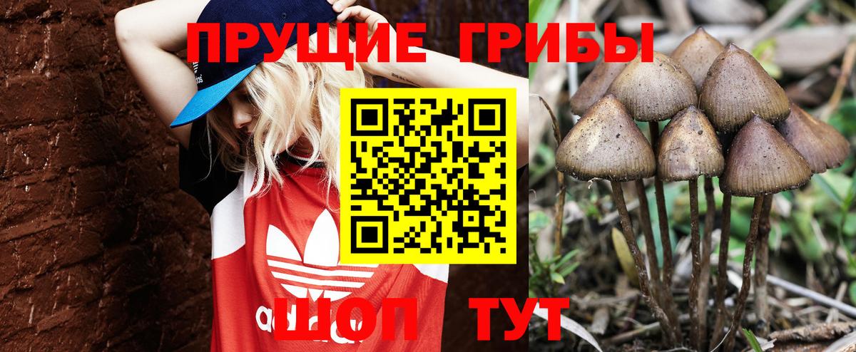 Псилоцибиновые грибы прущие грибы  Вход с VPN  Котельники  Галлюциногенные грибы Psilocybine cubensis 
