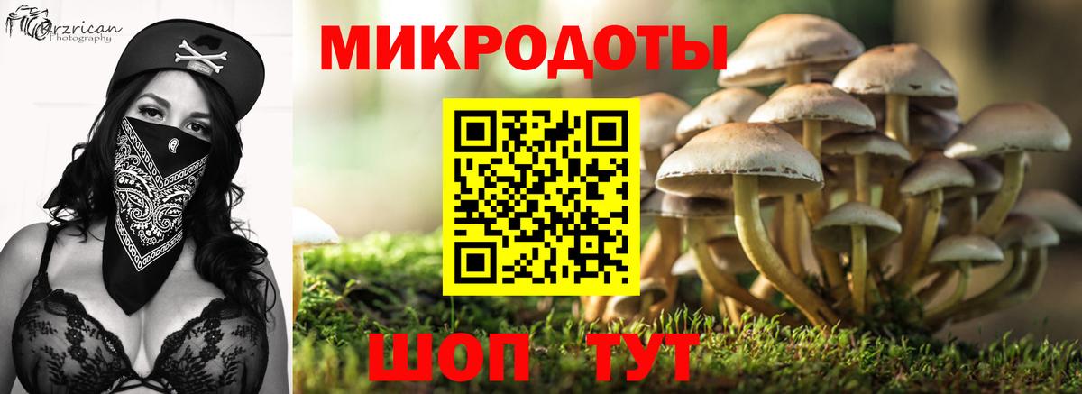 Галлюциногенные грибы Magic Shrooms Котельники